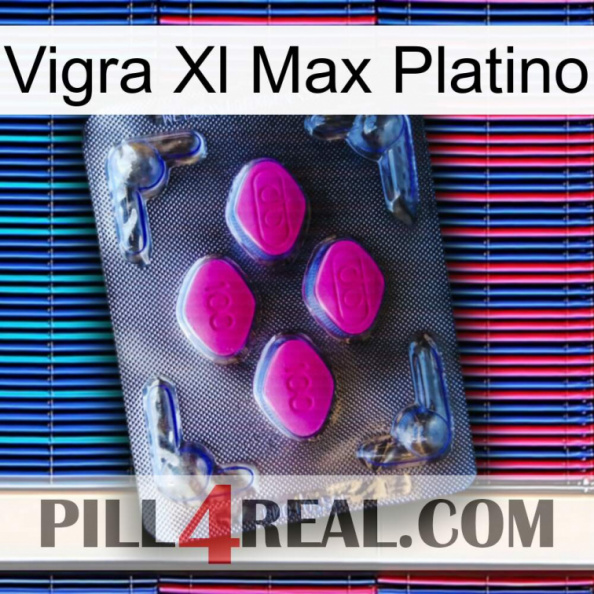 Vigra Xl Max Platinum 02.jpg